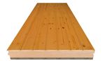 Onduline® - ONDUTHERM friso de abeto barnizado miel 10 mm, H16-A100-FAM10 2500x600mm